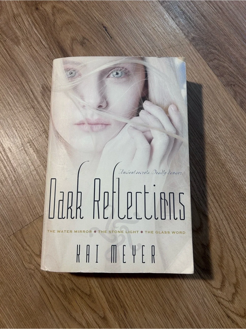 Dark Reflections Trilogy by Kai Meyer 3-in-1 YA Fantasy Paperback Omnibus